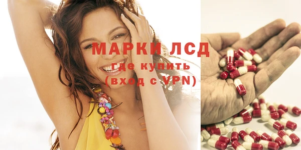 spice Богданович