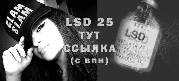 spice Богданович