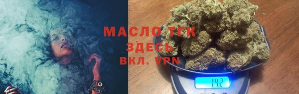 индика Богородск