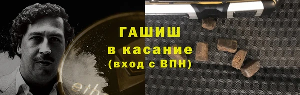 индика Богородск