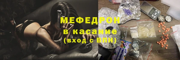 spice Богданович