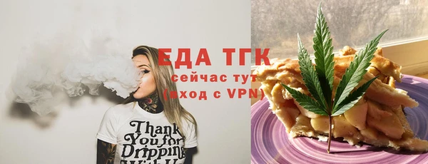 индика Богородск