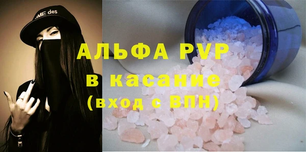 индика Богородск