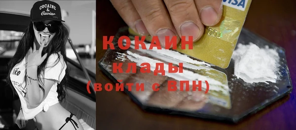 индика Богородск