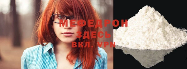 индика Богородск