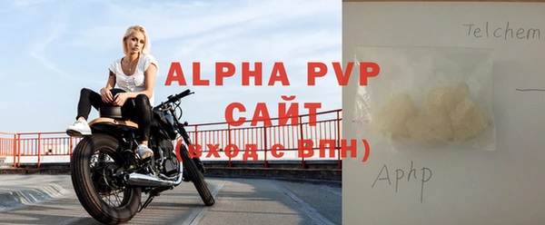 индика Богородск