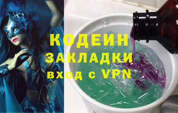 индика Богородск