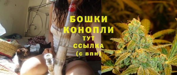 индика Богородск