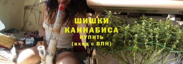 spice Богданович