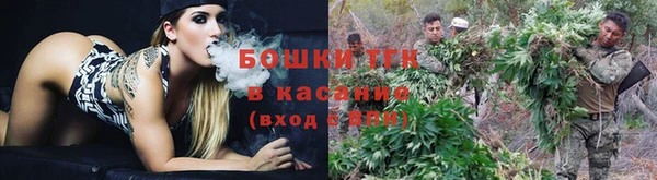 spice Богданович