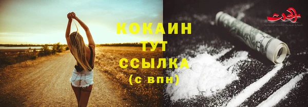 индика Богородск