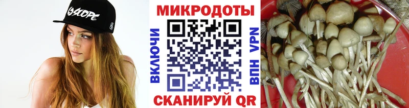 Галлюциногенные грибы GOLDEN TEACHER Коркино