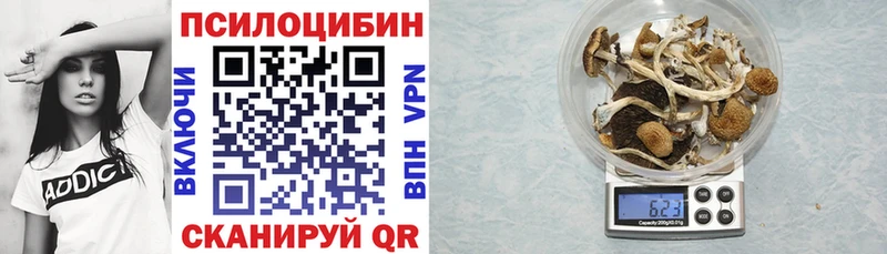 Купить  Коркино  Галлюциногенные грибы мицелий 